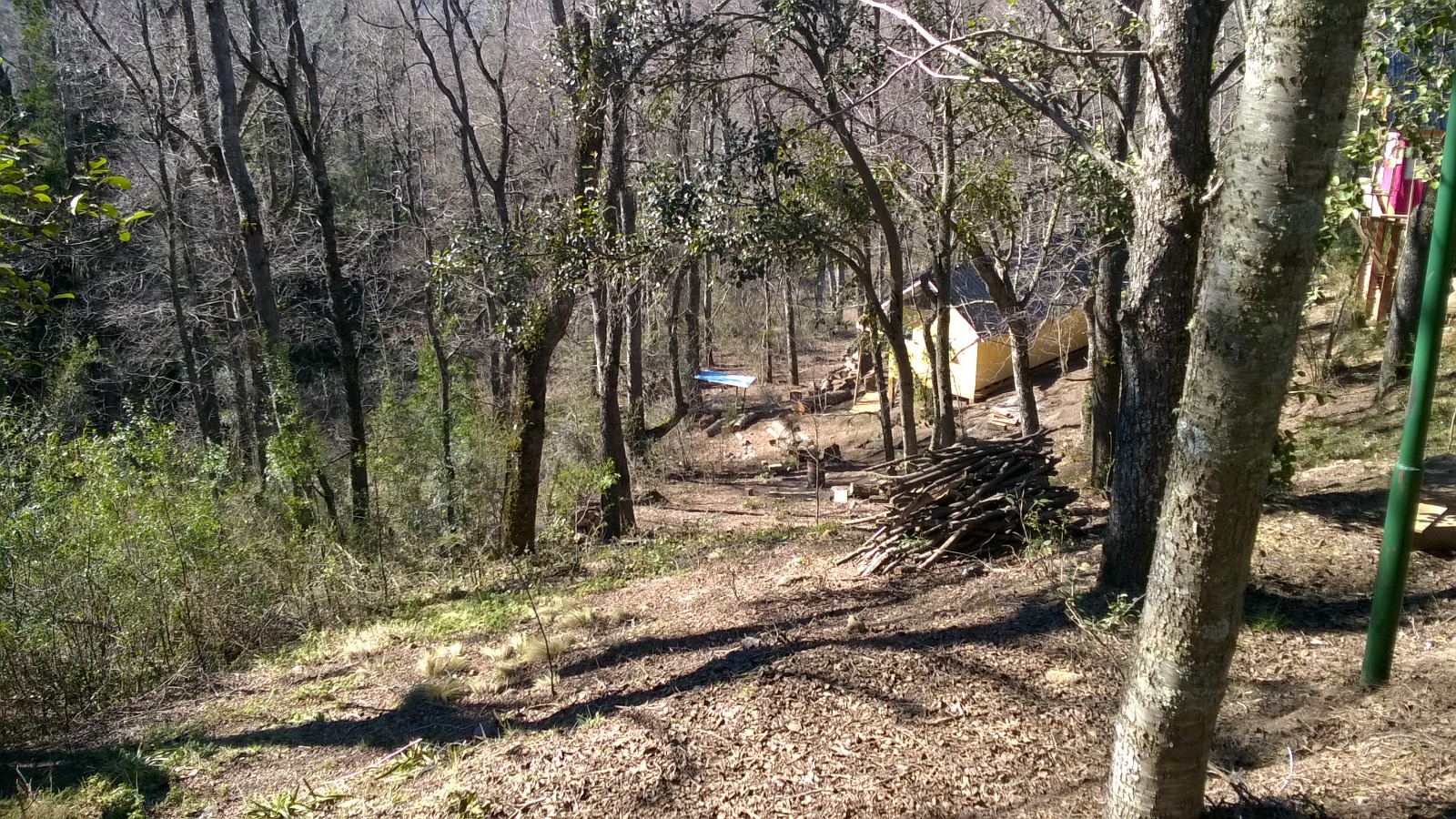 Dos cabañas en pleno bosque de Los Riscos: una oportunidad difícil de repetir - 3
