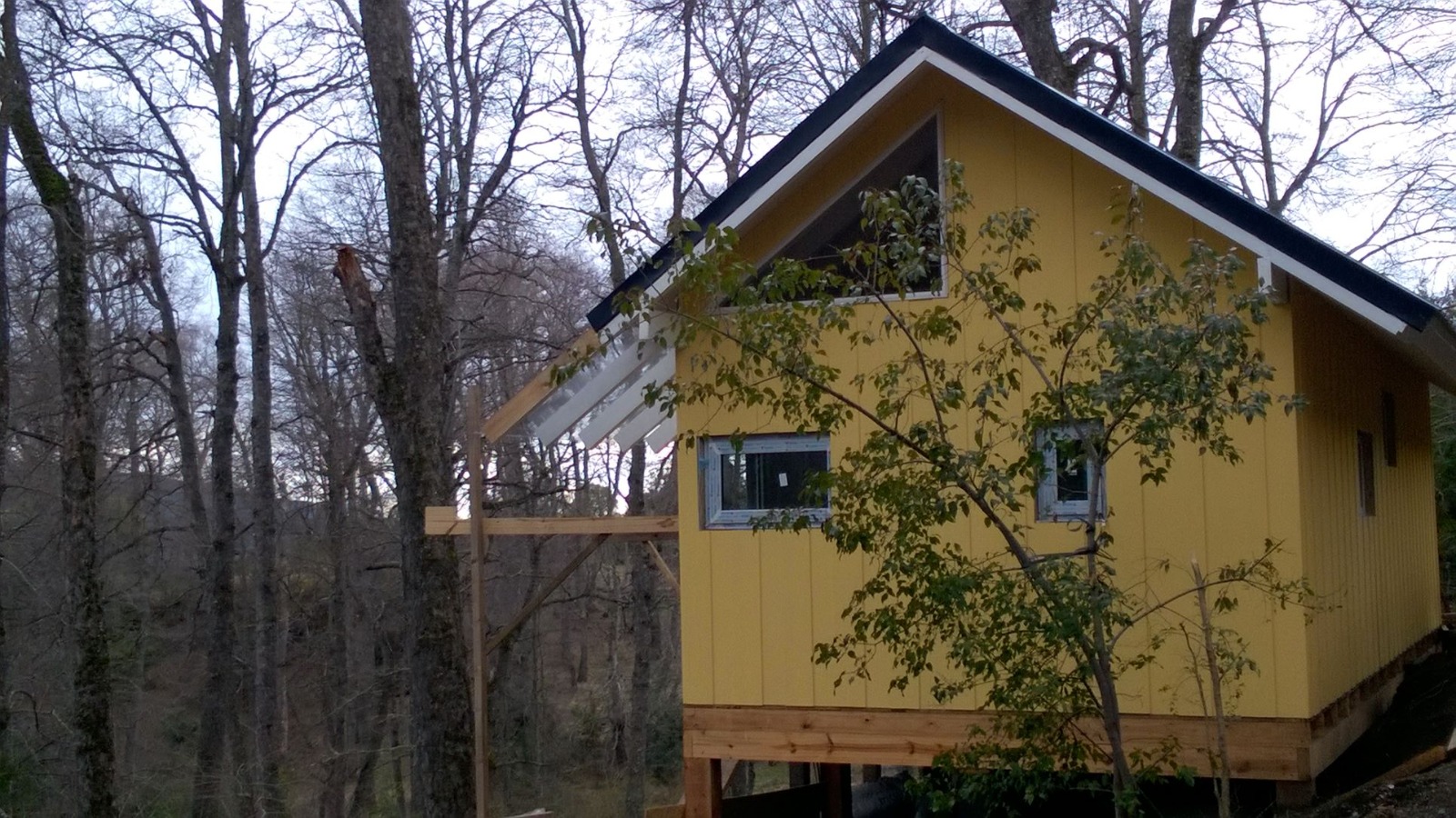 Dos cabañas en pleno bosque de Los Riscos: una oportunidad difícil de repetir - 4